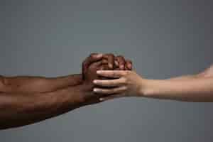 Free photo racial tolerance. respect social unity. african and caucasian hands gesturing isolated on gray