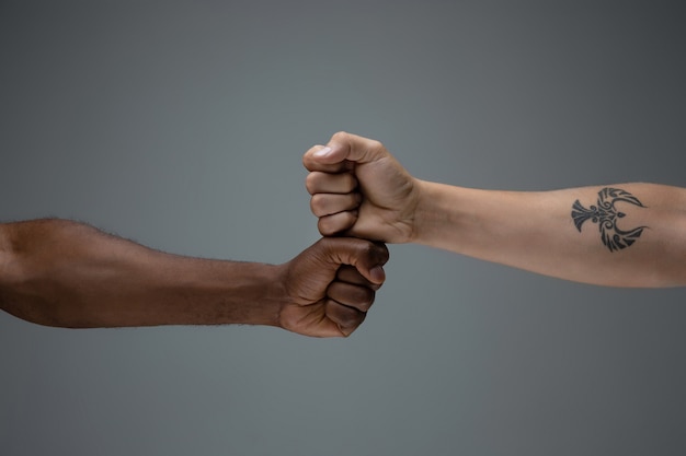 Free photo racial tolerance. respect social unity. african and caucasian hands gesturing isolated on gray