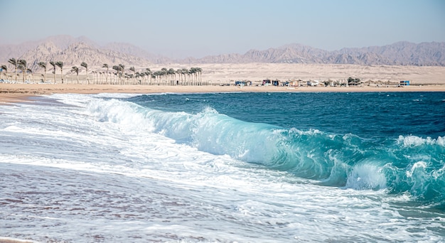 Raging sea with foamy waves in sunny weather. View of the coast with mountains.