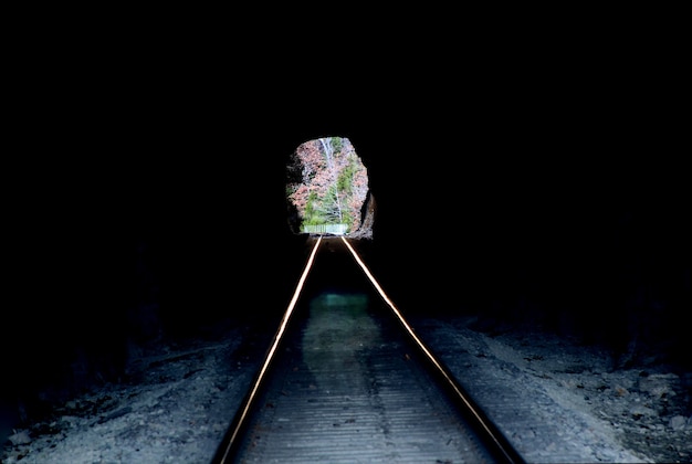 Free photo railroad tunnel dark inside looking out into the daylight. rail tracks running off into the distance through the tunnel opening. woods and trees.