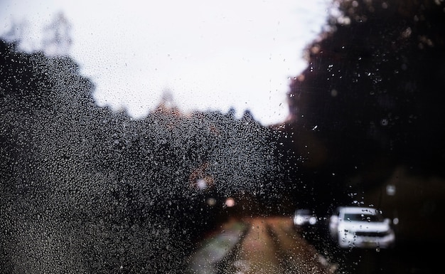 Rain effect on road background