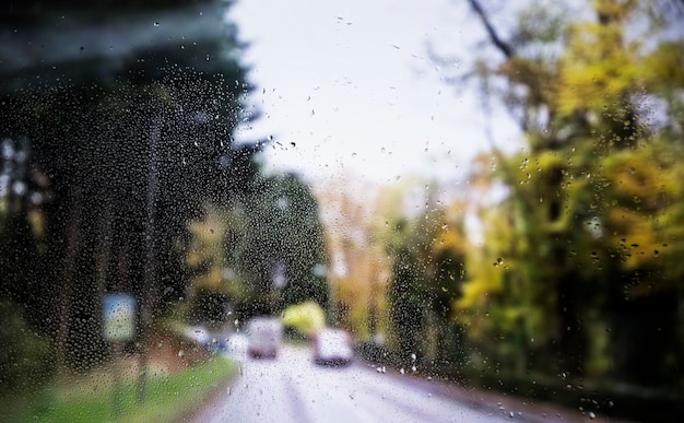 Rain effect on road background