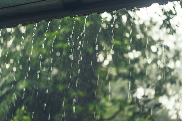 rain outside the windows of the villa.