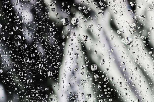 Free photo raindrops on white and black background