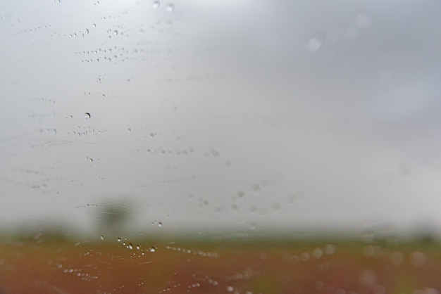 Free photo rainy day - behind car window