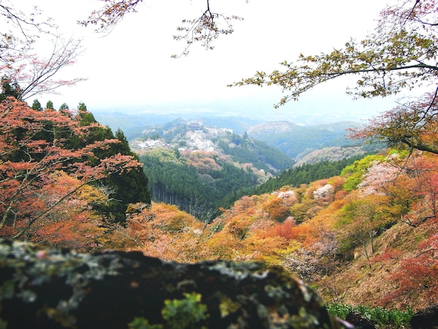 Free photo range mountain environmental journey tranquil concept