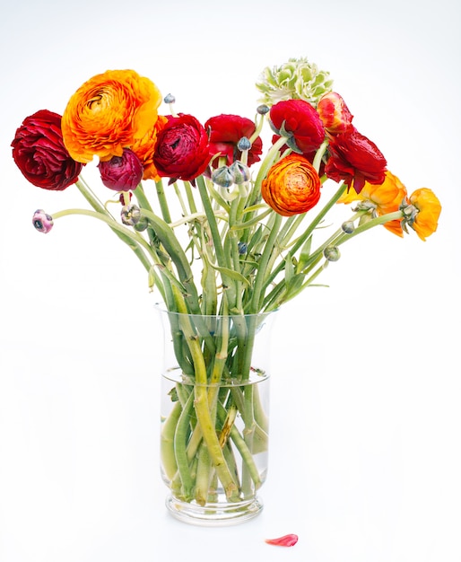 Free photo ranunkulyus bouquet of red flowers on a white