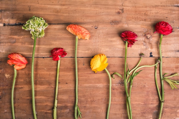 Free Photo ranunkulyus bouquet of red flowers on a wooden background