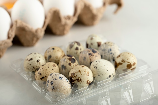 Raw chicken eggs in a carton container and quail eggs. 