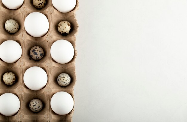 Raw chicken and quail eggs in a carton container. 