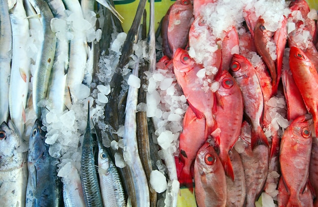 Raw  fish on market counter