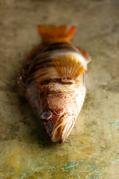 Free photo raw fish on table high angle