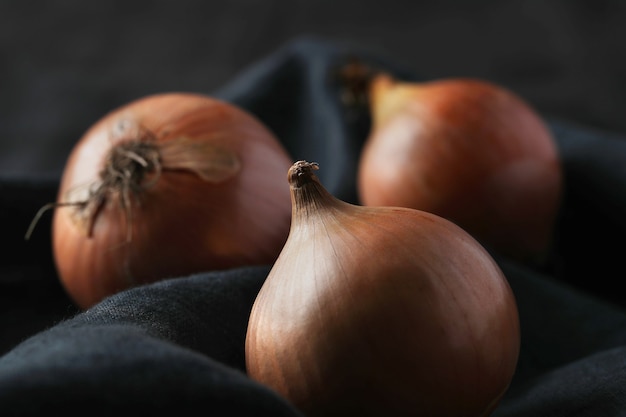 Free Photo raw onions