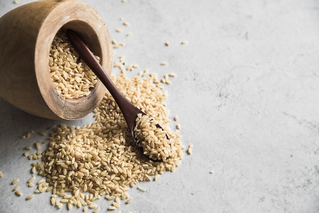 Raw organic spelt grain with spoon