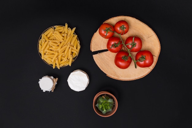 Free photo raw penne pasta and ingredient with succulent plant on black background