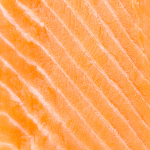 Raw salmon meat