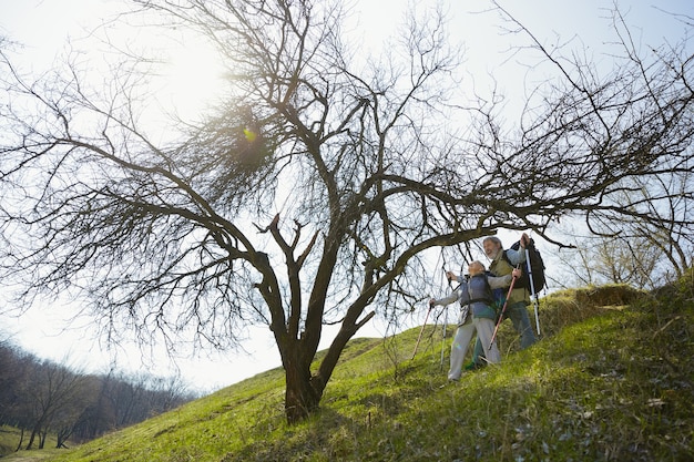 Free Photo reached the top together. aged family couple of man and woman in tourist outfit walking at green lawn near by trees in sunny day