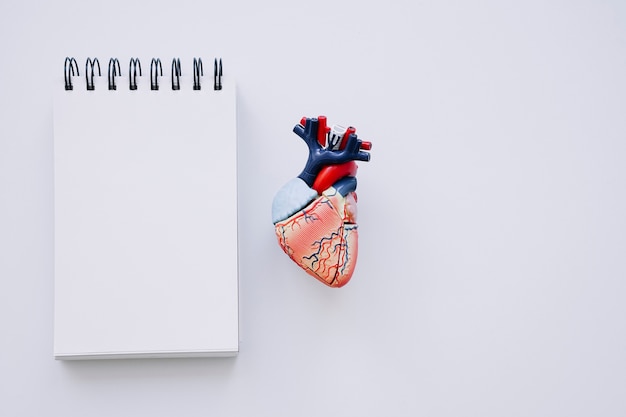 Realistic heart and white notebook