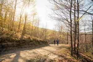 Free photo rear view of couple walking in the forest