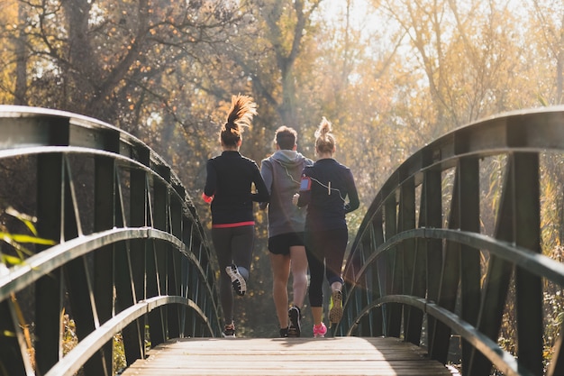 Free photo rear view of healthy people running across the bridge