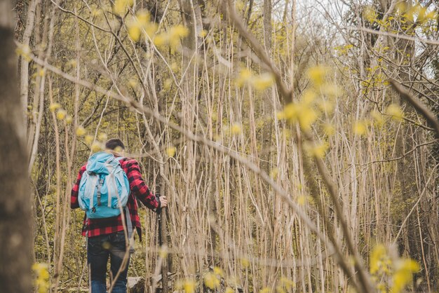 Rear view of hiker walking through the forest