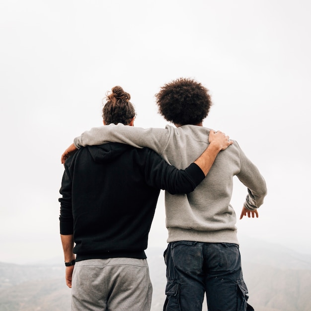 Rear view of multi ethnic young male hikers overlooking view