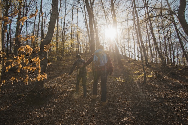 Rear view of ramblers walking in the forest