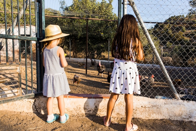 Free Photo rear view of two girls standing outside the chicken farm