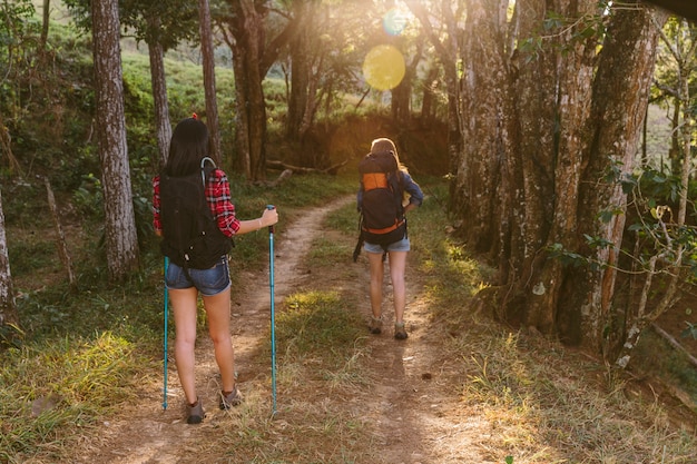 Free Photo rear view of two women hiking in forest