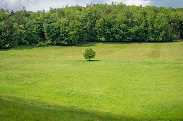 Free photo recreation area odenwald in the heart of europe