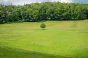 Free photo recreation area odenwald in the heart of europe