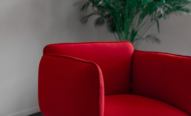 Red armchair near green plant