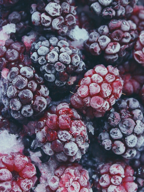 Free photo red and black frozen raspberries.