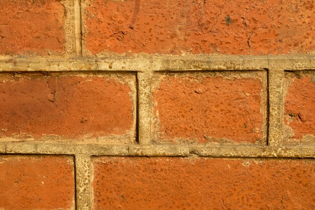 Red brick texture