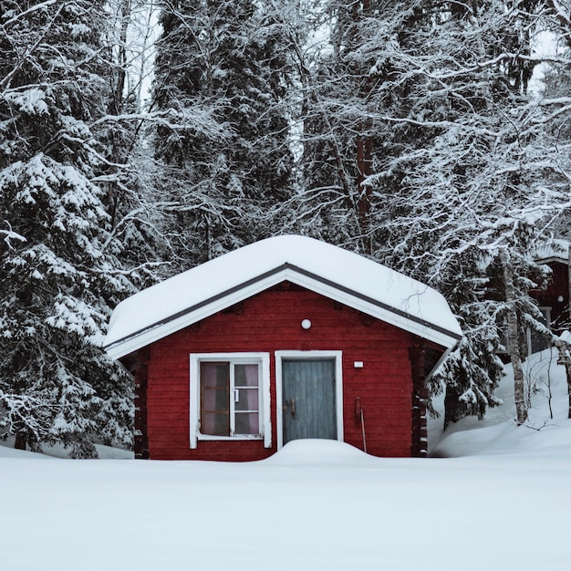 Free photo red cabin in a snowy forest