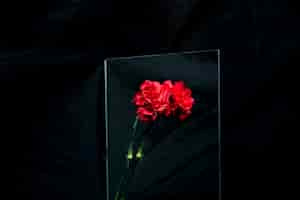 Free photo red carnation flower reflecting on glass over black background