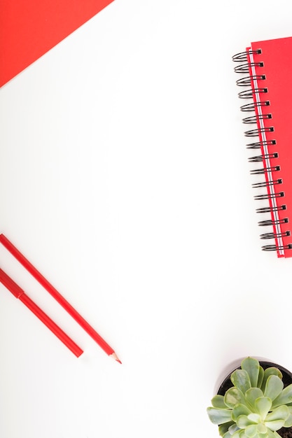 Free photo red colored stationeries and potted plant on white background