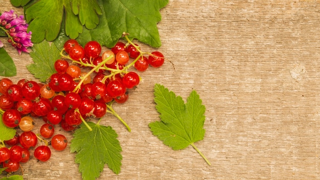 Red currant with leaves on wooden desk