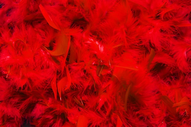 Free Photo red festive background