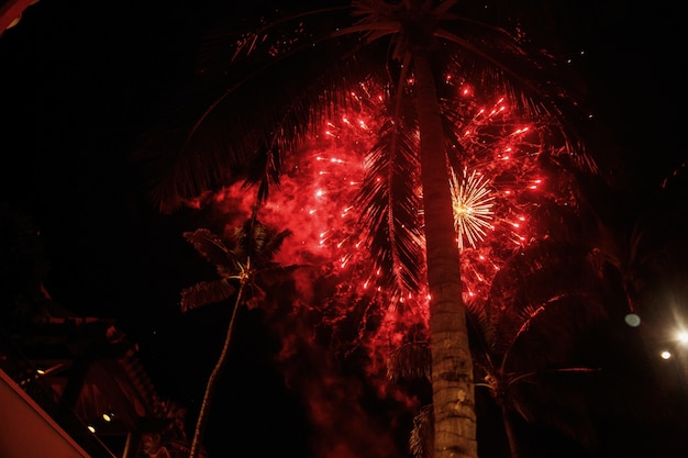 Red fireworks blow up over the palms on Hawaii