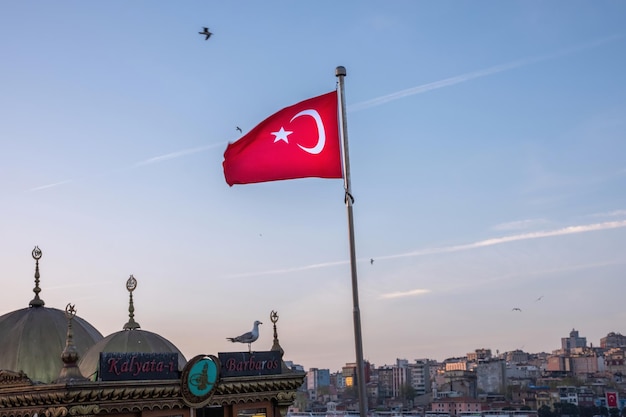 Free Photo red flag of turkey in the foreground of flying seagulls and local architectural buildings