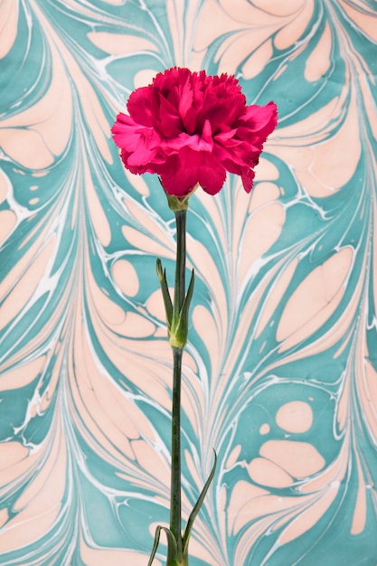 Free Photo red flower with psychedelic painting