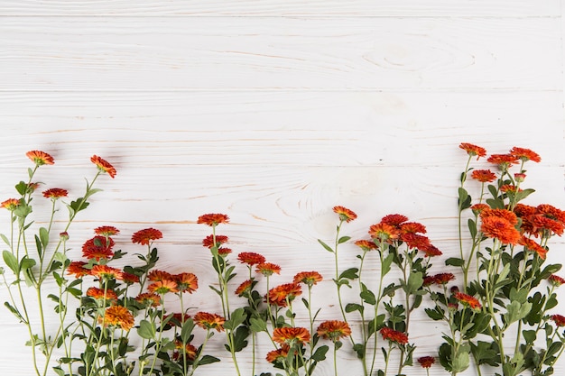 Red flowers scattered on wooden table