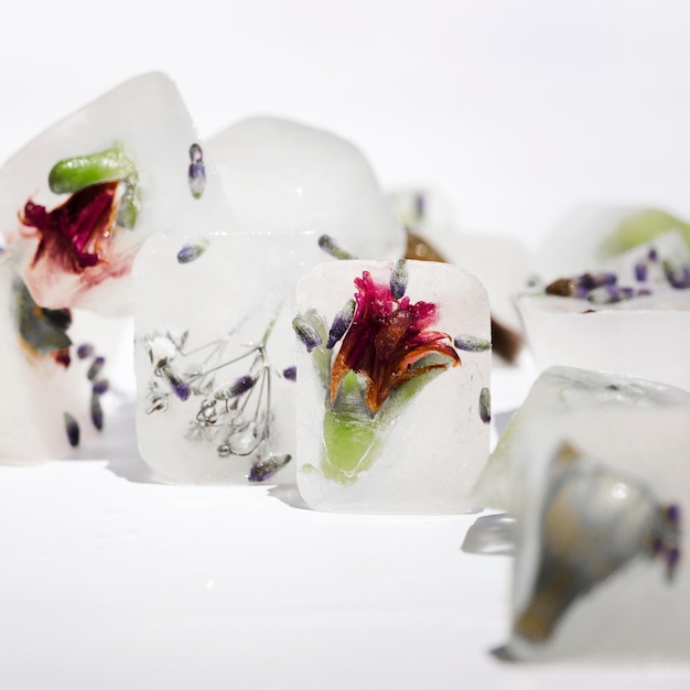 Red flowers and violet seeds in ice blocks