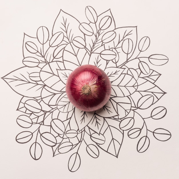 Free photo red onion over outline floral background