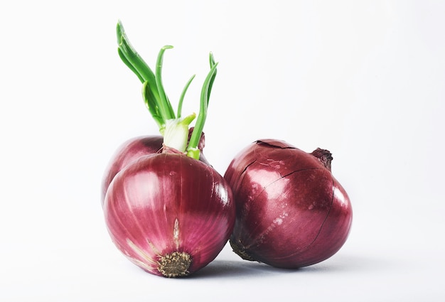 Red onion whole, isolated on white