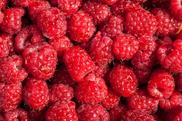 Free photo red raspberries in close up photo. raw fruits. healthy lifestyle