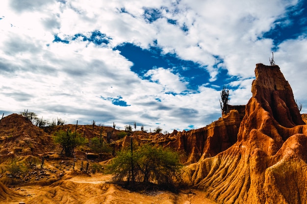 Free photo red rocks and exotic plants in the tatacoa desert in colombia under the cloudy sky