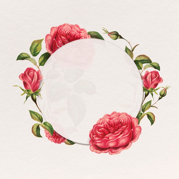 Red rose frame botanical round badge