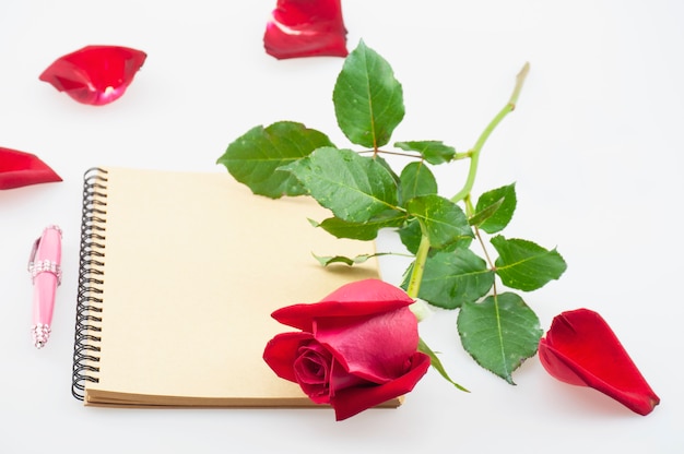 Red rose and pink pen with notebook on white background